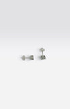 Sterling Silver 6mm Round Basket Setting Cubic Zirconia Stud Earrings (2 carats total weight)