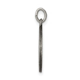 Saris and Things 925 Sterling Silver Antiqued Saint Luke Medal