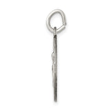 Saris and Things 925 Sterling Silver Antiqued Saint Anne Medal