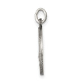 Saris and Things 925 Sterling Silver Antiqued Saint Elizabeth Seton Medal