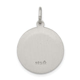 Saris and Things 925 Sterling Silver Antiqued Saint Peter Medal
