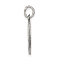 Saris and Things 925 Sterling Silver Antiqued Saint Roch Medal