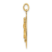 Charms Collection 14k Saint Christopher Medal Pendant XR383