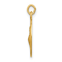 Saris and Things 14k Yellow Gold Solid Saint Francis of Assisi Medal Charm Pendant