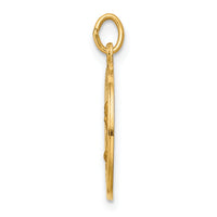 Saris and Things 14k Yellow Gold Solid Saint Mark Medal Charm Pendant