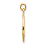 Saris and Things 14k Yellow Gold Solid Saint Luke Medal Charm Pendant