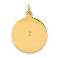 Saris and Things 14k Yellow Gold Solid Saint Patrick Medal Charm Pendant