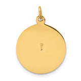 Saris and Things 14k Yellow Gold Solid Saint Patrick Medal Charm Pendant