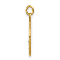 Saris and Things 14k Yellow Gold Solid Saint Elizabeth Seton Medal Charm Pendant
