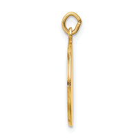 Saris and Things 14k Yellow Gold Saint Roch Medal Charm Pendant