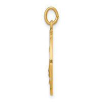 Saris and Things 14k Yellow Gold Solid Saint Elizabeth Seton Medal Charm Pendant