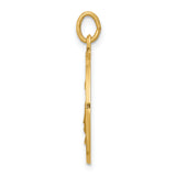 Saris and Things 14k Yellow Gold Solid Saint Elizabeth Seton Medal Charm Pendant