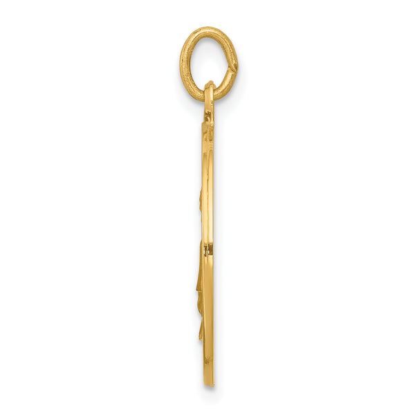Saris and Things 14k Yellow Gold Solid Saint Elizabeth Seton Medal Charm Pendant