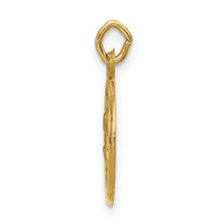 Saris and Things 14k Yellow Gold Solid Saint Peter Medal Charm Pendant