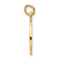 Saris and Things 14k Yellow Gold Solid Saint Roch Medal Charm Pendant