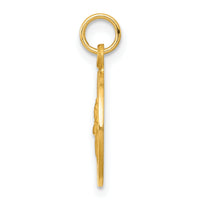 Saris and Things 14k Yellow Gold Solid Saint Patrick Medal Charm Pendant