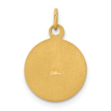 Saris and Things 14k Yellow Gold Solid Saint Patrick Medal Charm Pendant