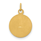 Saris and Things 14k Yellow Gold Solid Saint Patrick Medal Charm Pendant