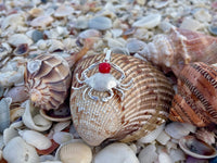 Sterling Silver and Genuine 6mm Coral Crab Pendant with Textured Finish