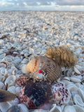 Sterling Silver and Genuine 6mm Coral Crab Pendant with Textured Finish