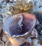 Sterling Silver Seahorse Pendant with Genuine Diamond Eye