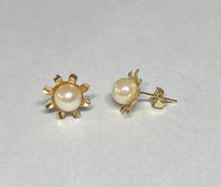 14 Karat Yellow Gold Genuine 5.5mm Freshwater Pearl Sunburst Design Stud Earrings