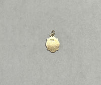 14 Karat Yellow Gold Sacred Heart of Jesus 0.40" x 0.32" Dainty Medal