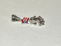 Sterling Silver Coqui Frog & Hand Enameled Puerto Rico Flag Pendant